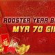 Arena777 Casino Malaysia Rooster Year Baby